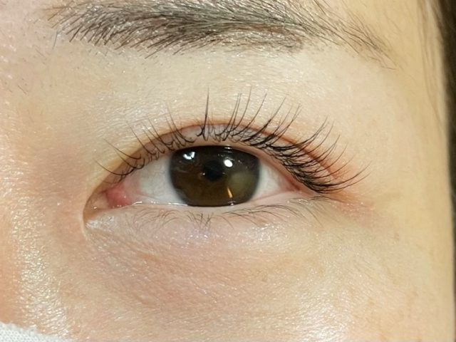 マツエク60本の仕上がりはカール(D,C,J)と目尻で印象が変わる | アロマ