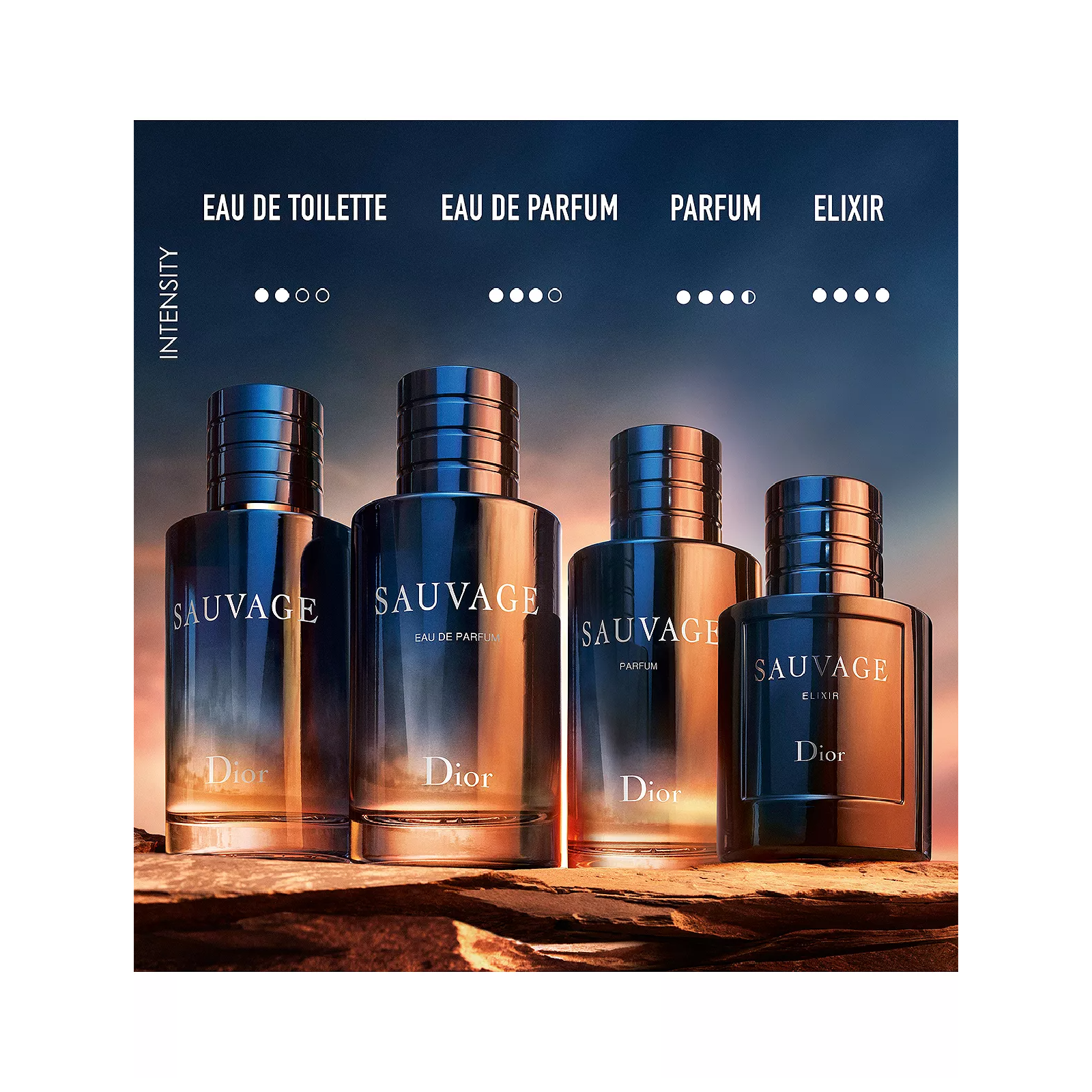 Dior Sauvage Eau de Toilette - Fresh & Woody Scent