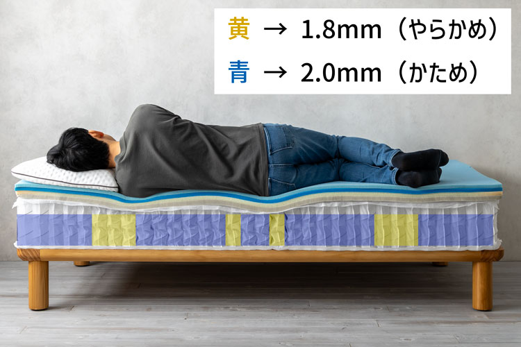 徹底解説】エマ・プレミアム V2（プラスも対応）の体験・検証レビュー