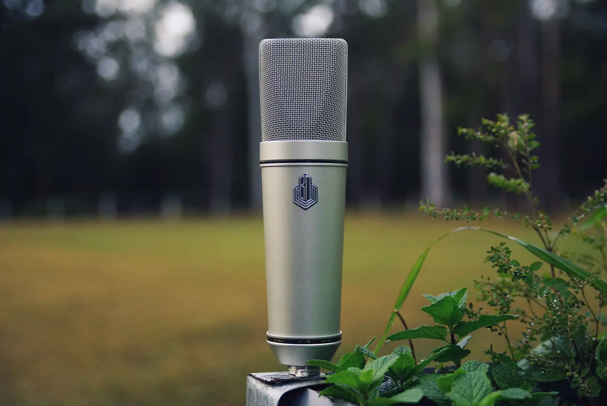 B67/269 – BeesNeez Pro Audio