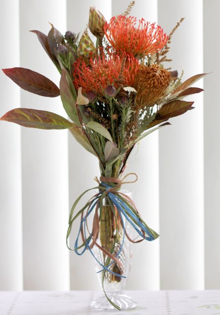 リューコスペルマム（ハイゴールド）の特徴や育て方、増やし方などの紹介