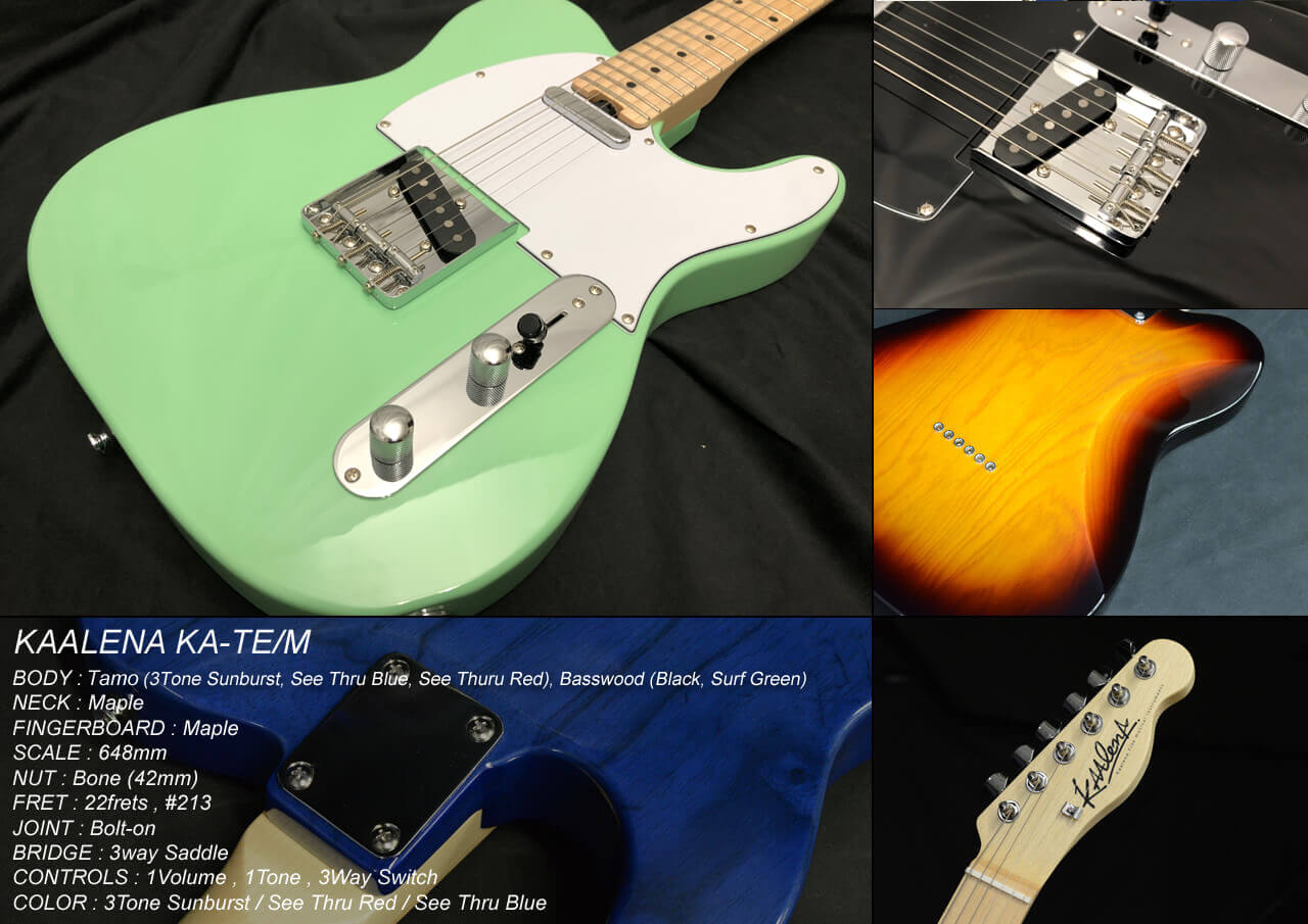 さあ、楽器を始めよう!! KAALENA大特集!! | BIGBOSS オンラインマーケット