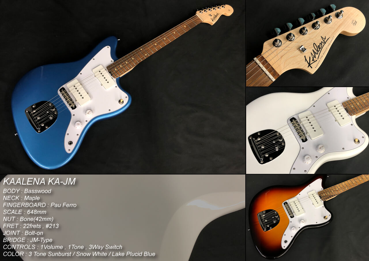 さあ、楽器を始めよう!! KAALENA大特集!! | BIGBOSS オンラインマーケット