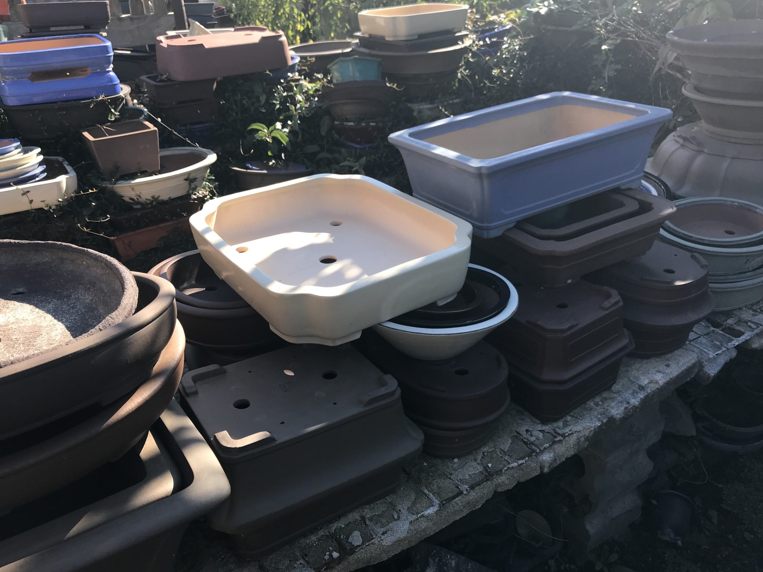 どんな盆栽鉢なら売れるの？ 高価買取できるものとできないもの | 大切