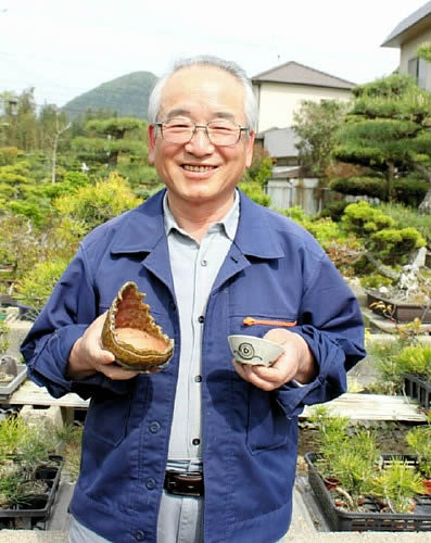 手作りのだいご味 オリジナルの鉢で楽しむ | 盆栽 | 四国新聞社