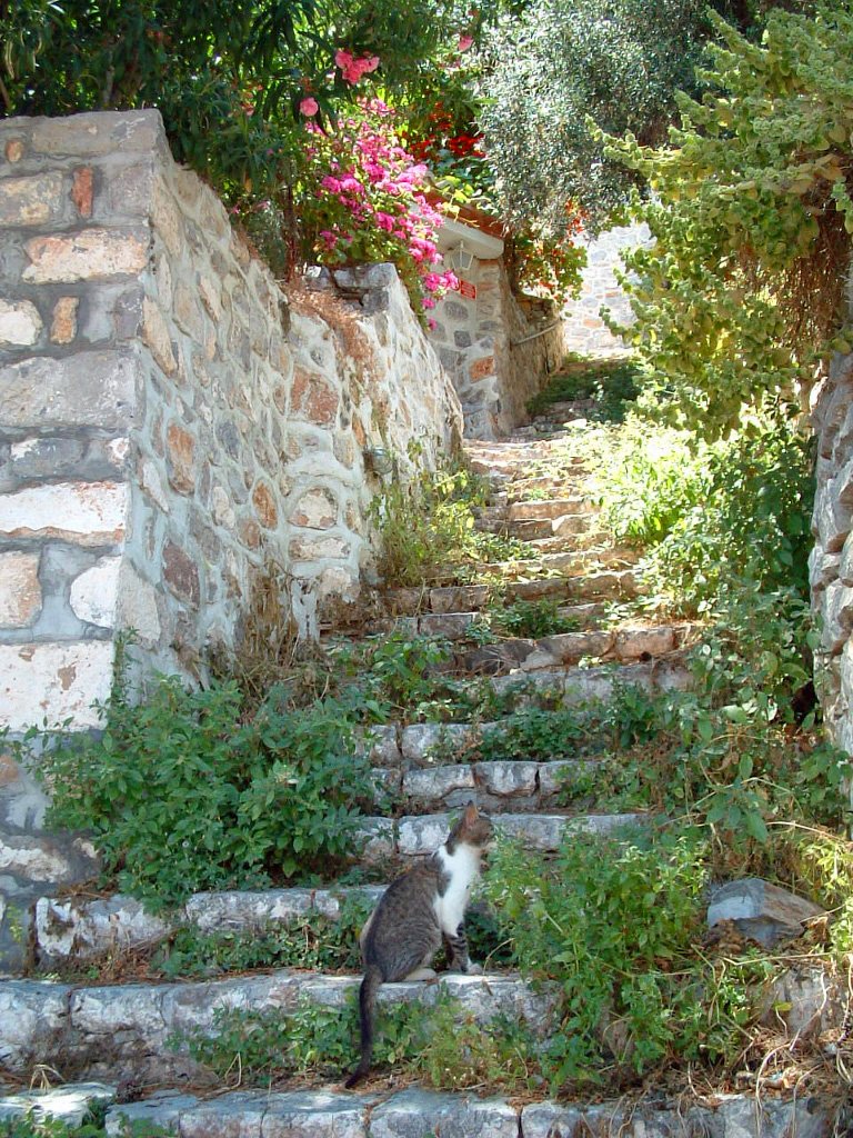 エーゲ海イドラ島の路地裏 （ギリシャ）: ぼくの出会った風景