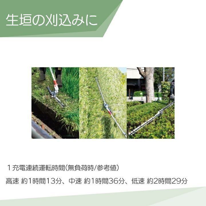 000000014654-02-l.jpg?t=