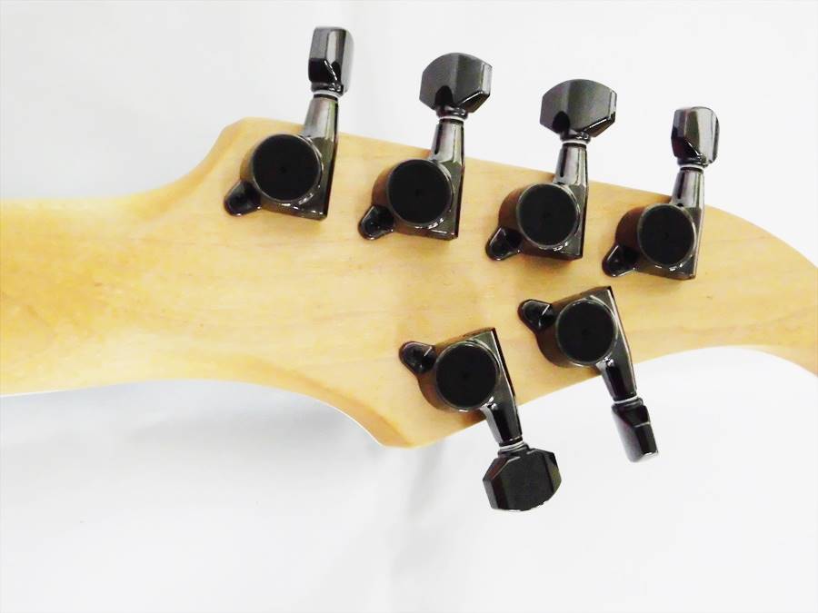 キャパリソン デリンジャー（Caparison Dellinger Prominence ） T