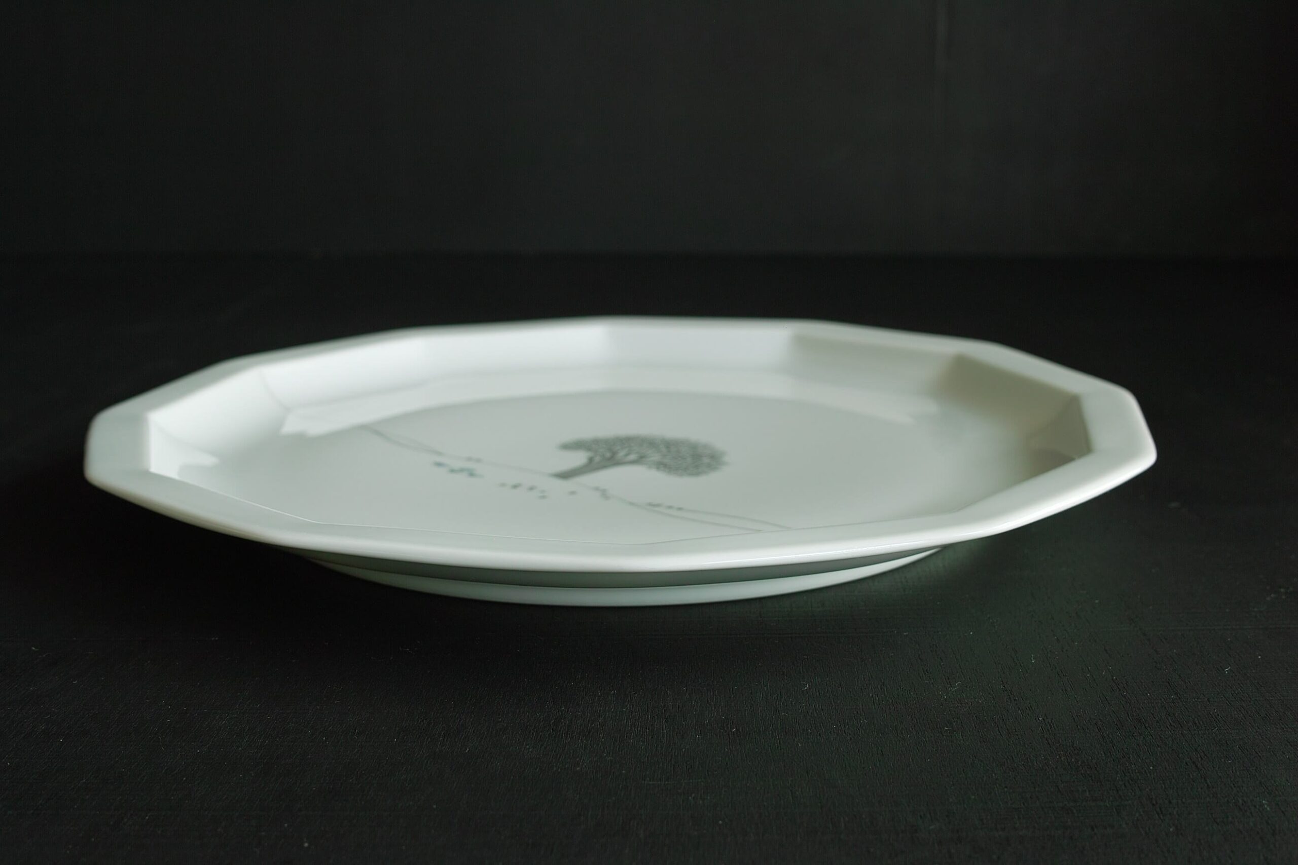 No.7618「Rosenthal〈ポリゴン / 冬の旅〉大プレート：タピオ