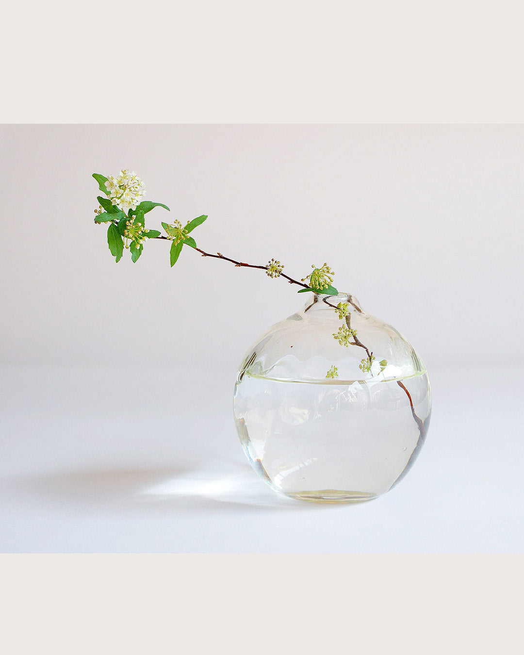 石川硝子工藝舎 網目丸壺〈小・中〉【正規通販店】 石川昌浩 – bollard