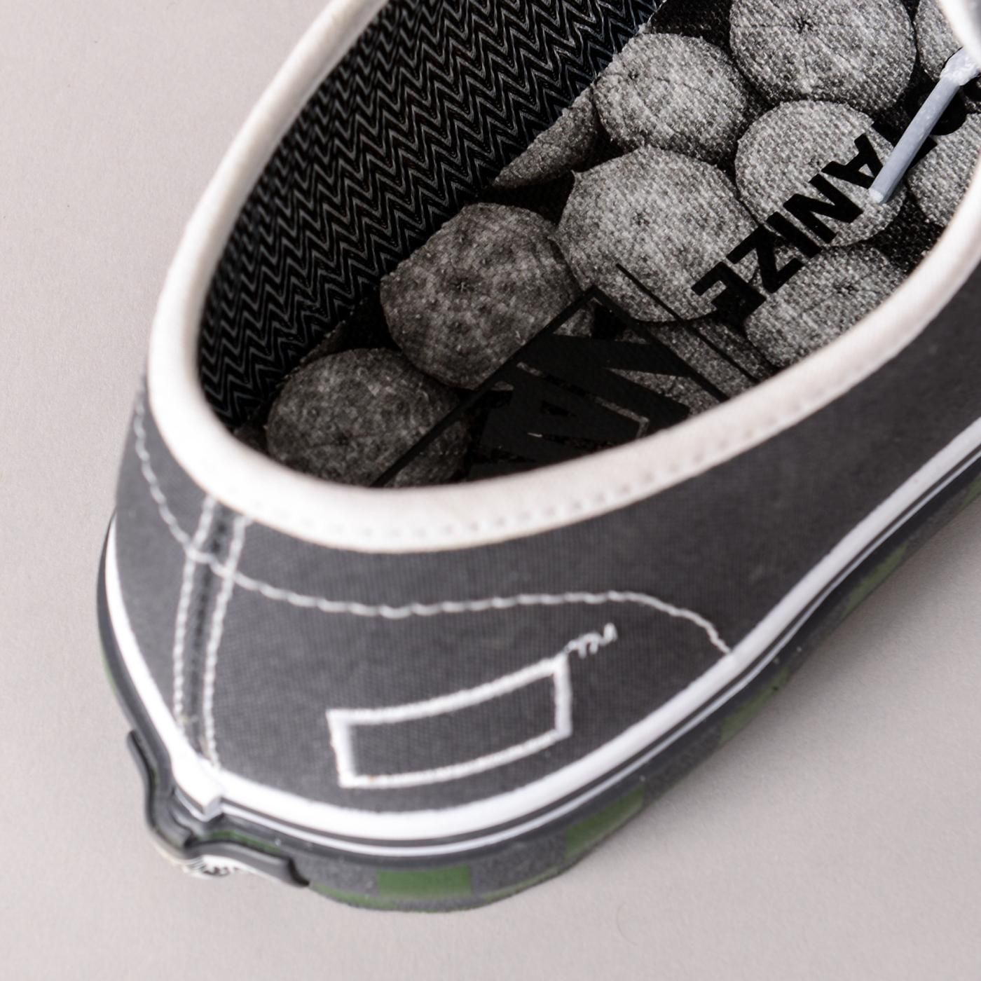 VANS × BOTANIZE AUTHENTIC