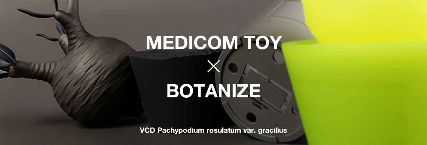 botanize.jp – BOTANIZE