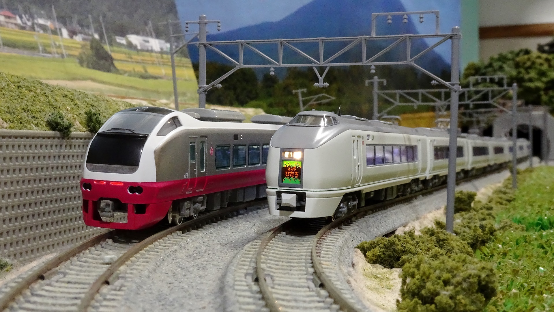 新車入線】E653系特急「フレッシュひたち」（赤） - ビスタ模型鉄道