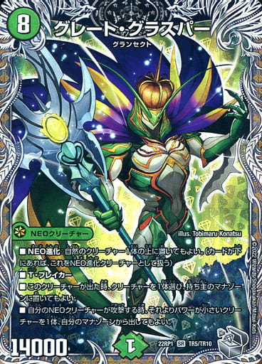 デュエマ オリジナルCS】「石とカードの森CS in秋葉原カーディバル