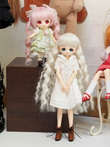 ヒカリカスタムさんとプチ姫カスタムさん！ | PARABOX中野