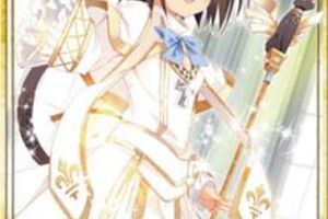 スリーブ】マット仕様スリーブ「ブシロードヴィジュアルスリーブ