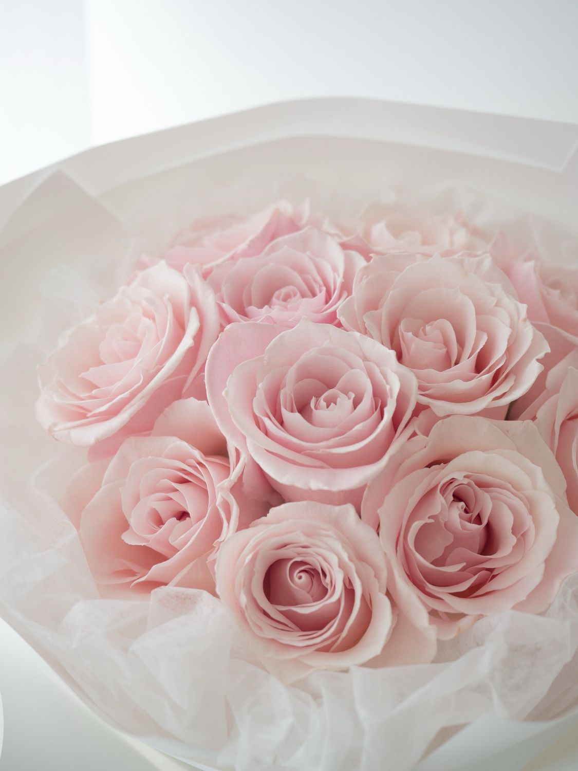 Initial - 初心| Flower Delivery Toronto | Same Day Delivery Flower