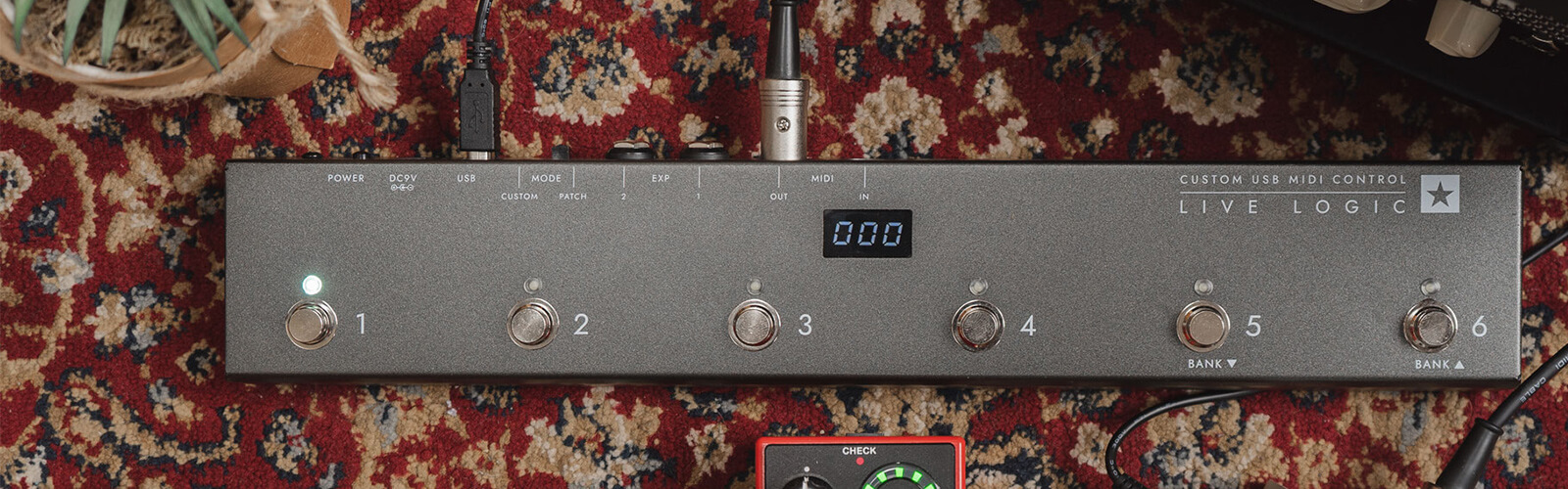 Live Logic - Blackstar