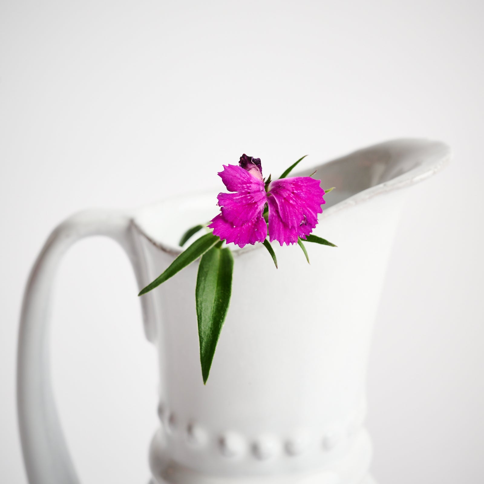 Astier de Villatte Small Gedeon Pitcher- Paris, France – Blanche +