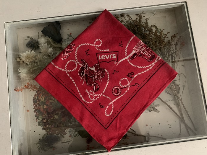 ヨーロッパ・アメリカで出会ったヴィンテージ ハンカチ | Blue Swallow