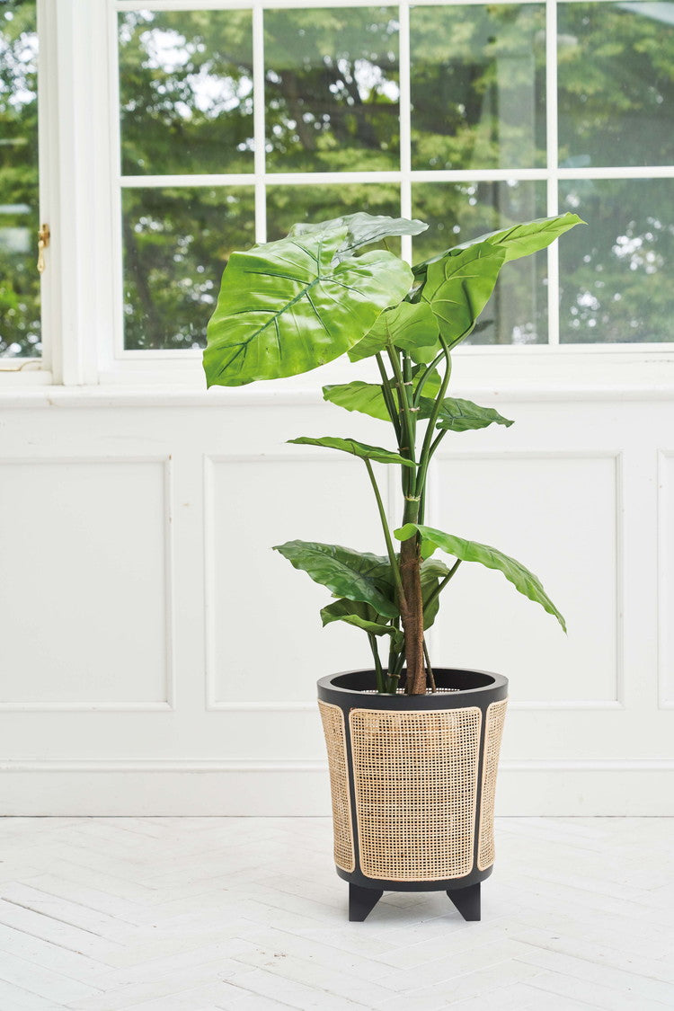 プランターカバー プランター カバー 植物 ラタン 藤 天然木 ミンディ