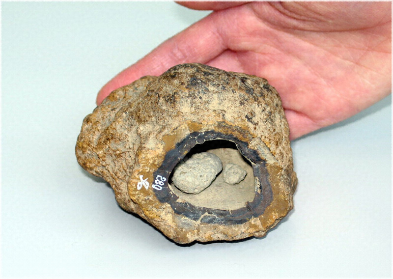 名寄鈴石 文化遺産オンライン