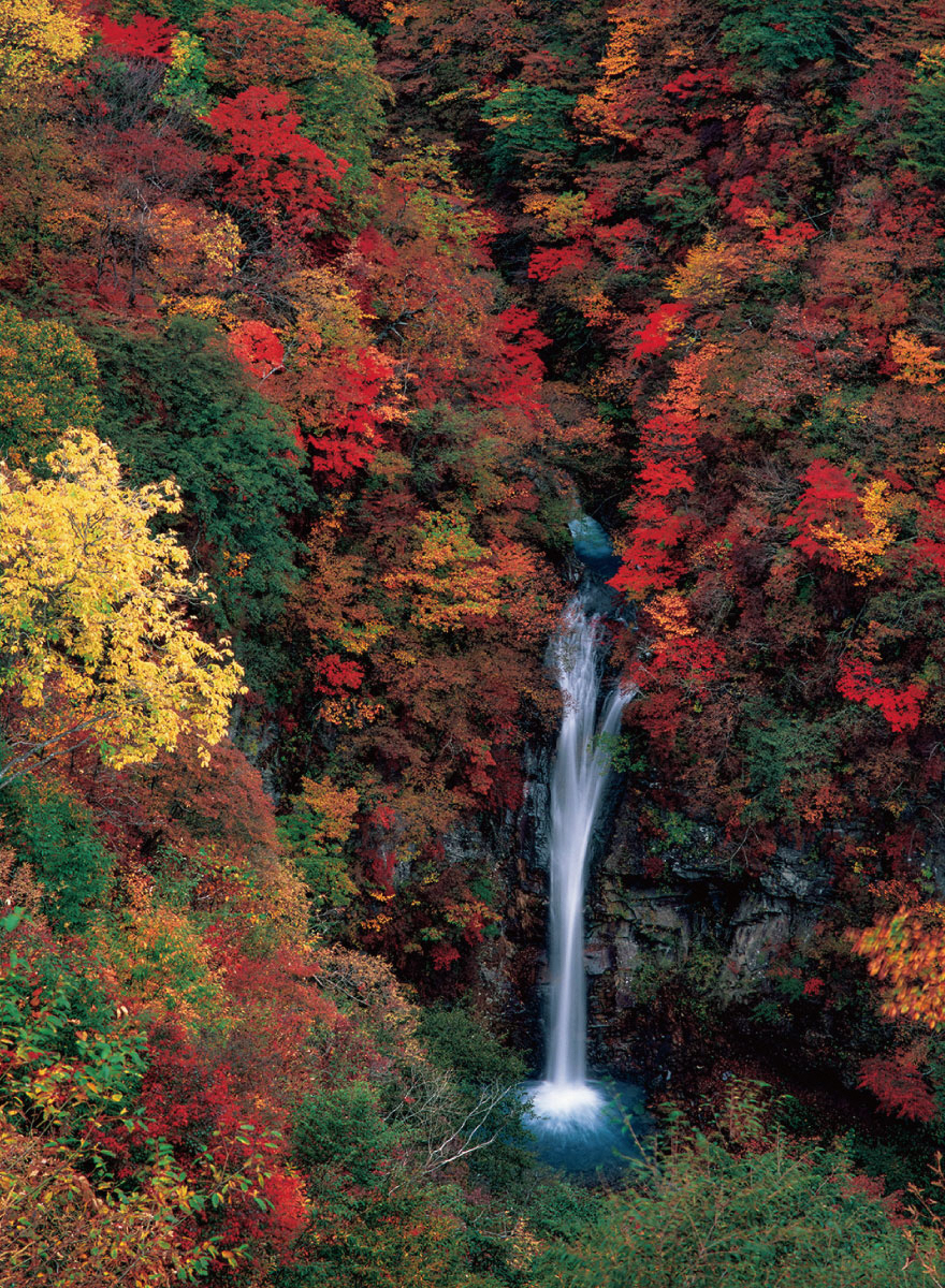 銀塩フィルムで撮影された、日本ならではの四季折々の風景が見せる一瞬