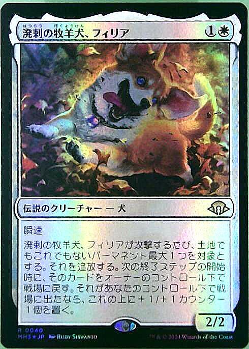 MH3)溌剌の牧羊犬、フィリア(0040)(F)/PHELIA EXUBERANT SHEPHERD