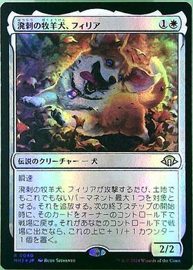 MH3)溌剌の牧羊犬、フィリア(0040)(F)/PHELIA EXUBERANT SHEPHERD