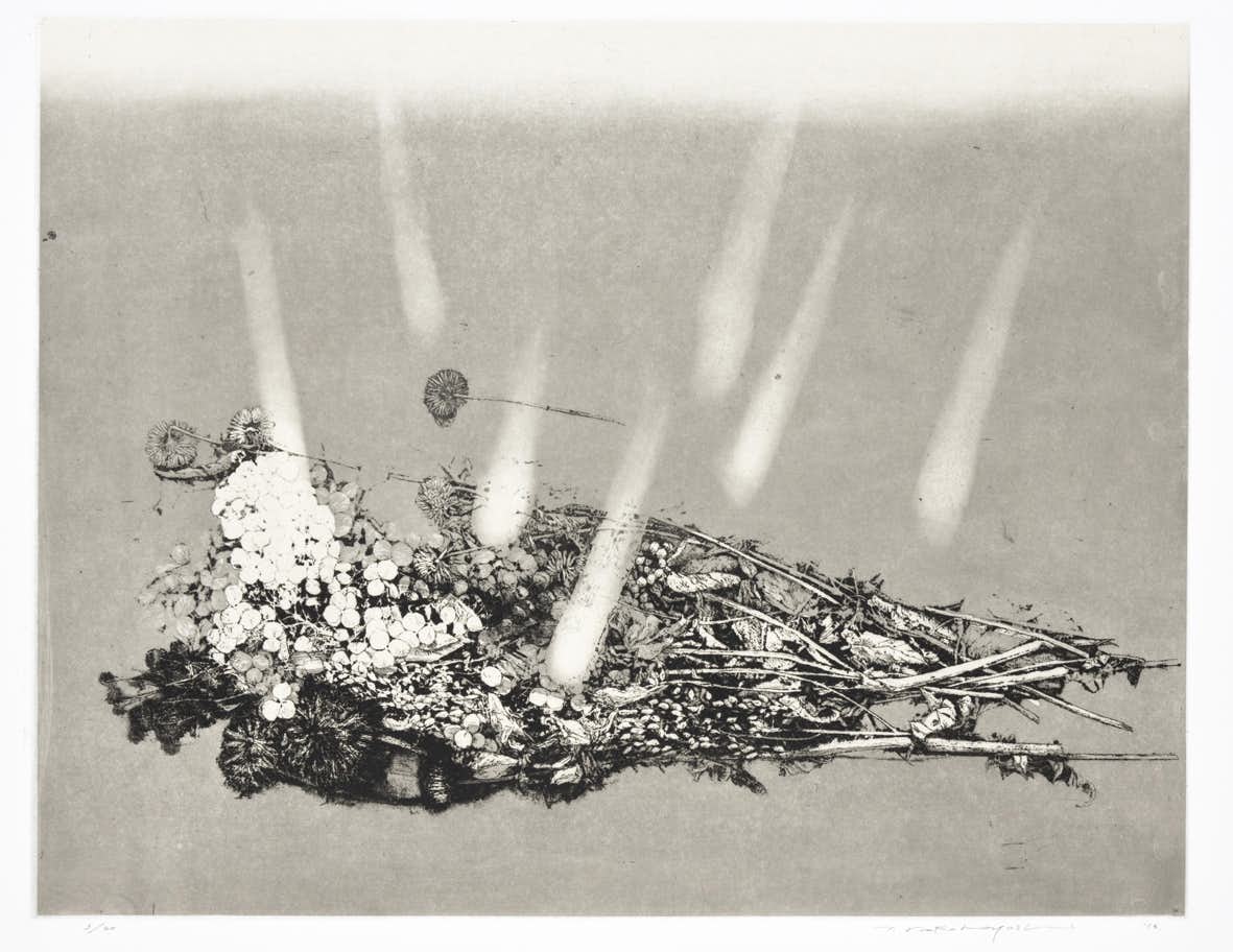 中林忠良展 銅版画―腐蝕と光（茅野市美術館）｜美術手帖