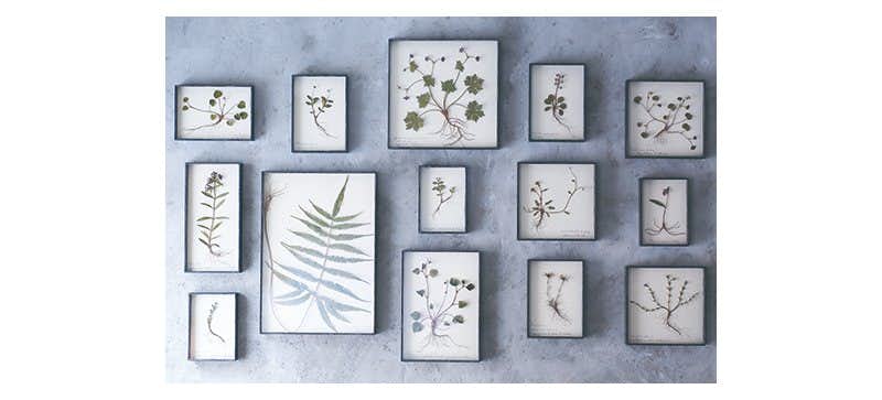 モリソン小林「鉄の花 鉄の草」（Galerie LIBRAIRIE6）｜美術手帖