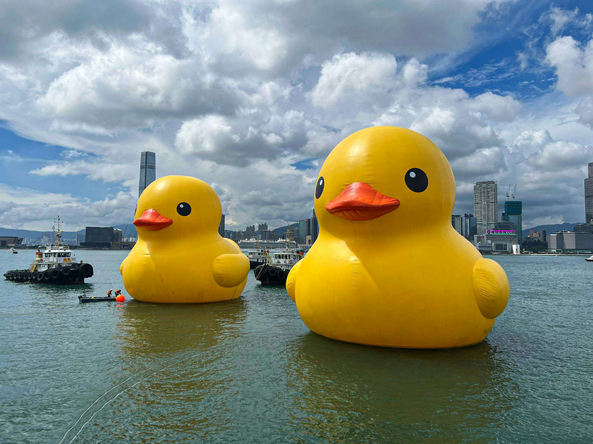 1688955865976_7443ee8306472fdb