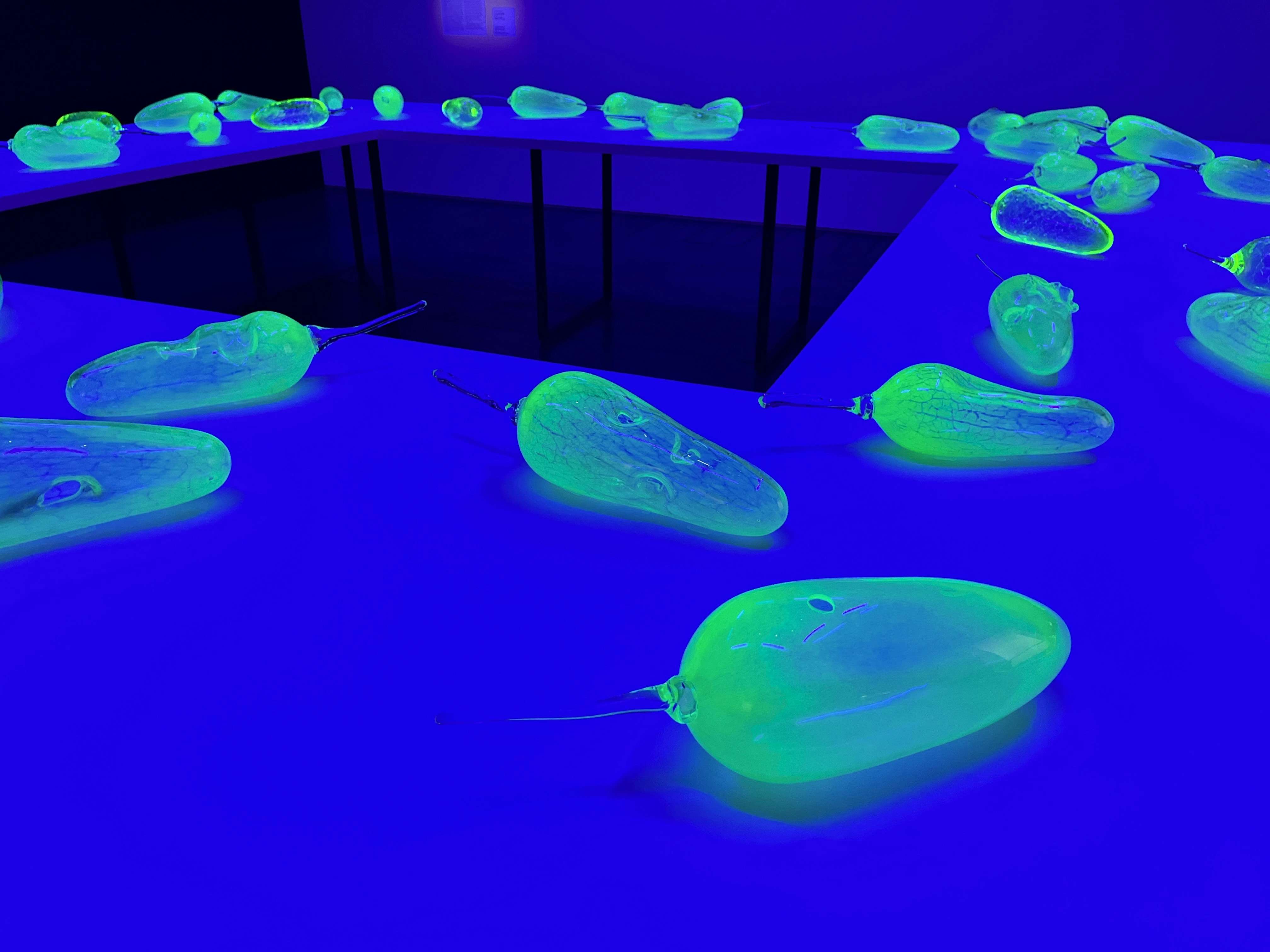 彼女たちのアボリジナル・アート オーストラリア現代美術