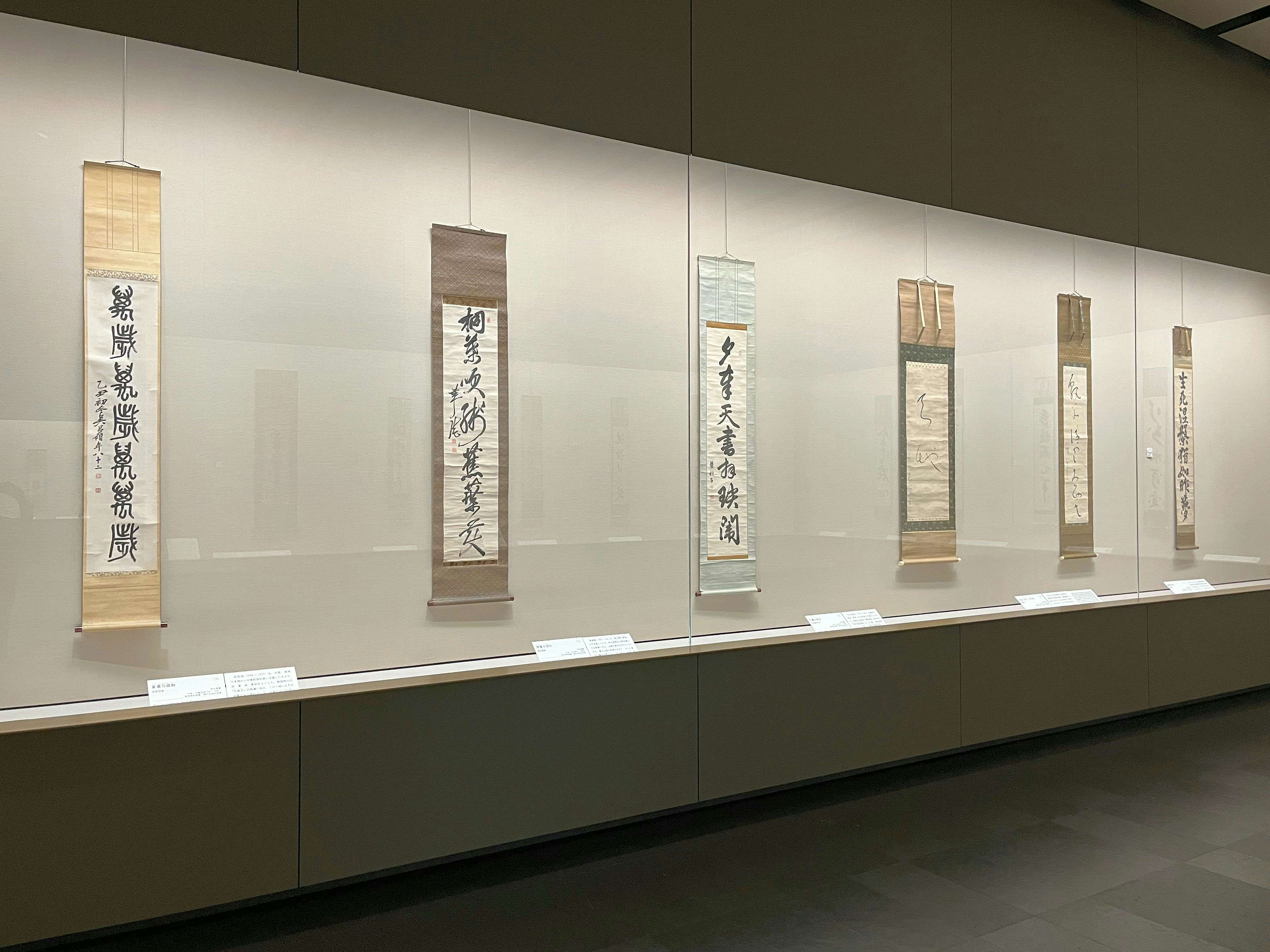 1735005008977_8a4d3eb214ba8c9f