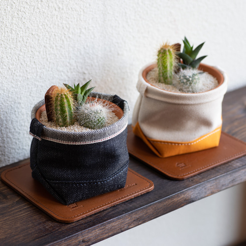 サボテン寄せ植えと鉢カバーと名入れ可能レザーコースターの3点セット