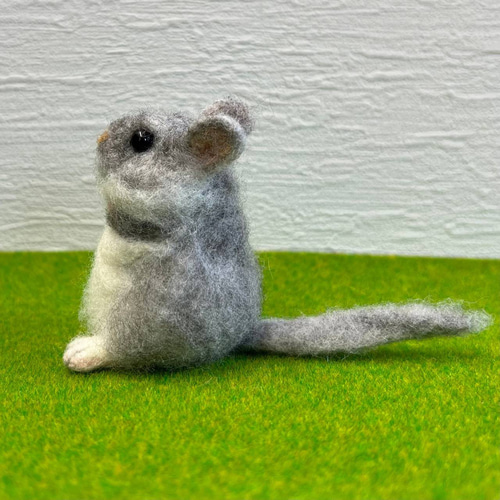 羊毛フェルト チンチラ①② 2種 羊毛フェルト toiro 通販 16778623