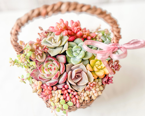 送料無料】多肉植物寄せ植え そのまま飾れる♡春のバスケットアレンジ