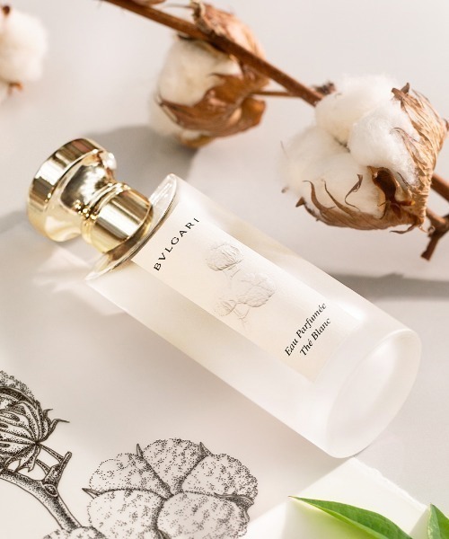 ブルガリ オ パフメ テ ブラン オードトワレ 75mL（香水）｜BVLGARI