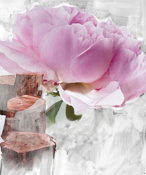 ブランシュ ボディローション 225ml（ボディケア/ボディクリーム