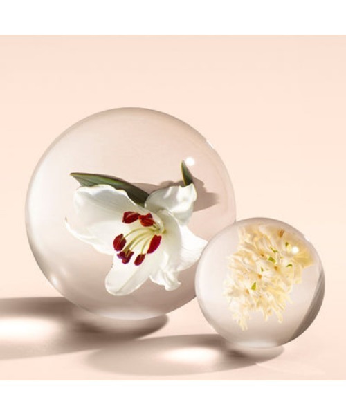 ジンジャーリリー オードパルファン 100ml｜モルトンブラウン MOLTON