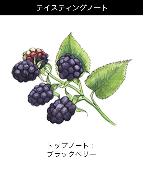 ジョー マローン ロンドン ブラックベリー ＆ ベイ コロン （30ml