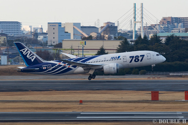さよなら鯖太郎 ～ANA B787 初号機 JA801A 特別塗装機、最後の思い出