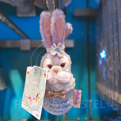 ダッフィーぬいぐるみバッジ（ダッフィー＆フレンズのウィンター