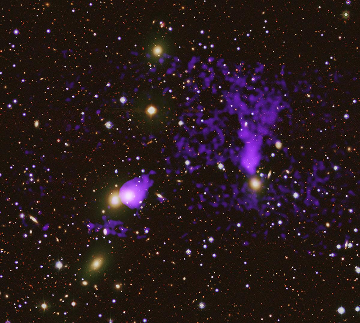 Chandra observation of gas tails crossing in galaxy cluster Z8338