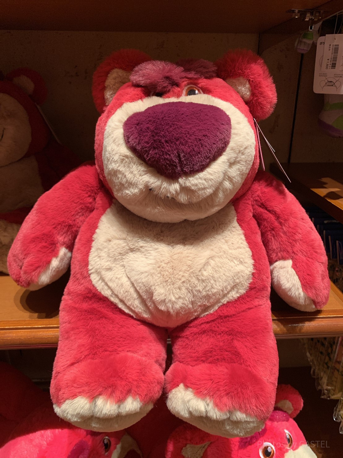 ロッツォぬいぐるみ| キャステル | CASTEL ディズニー情報