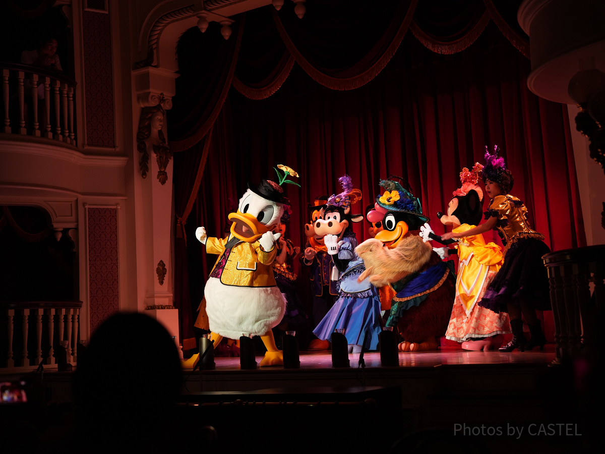 ザ・ダイヤモンド・バラエティマスター：ドナルド| キャステル