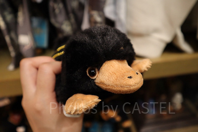 2025】USJのファンタスティック・ビーストグッズまとめ！ファンタビの