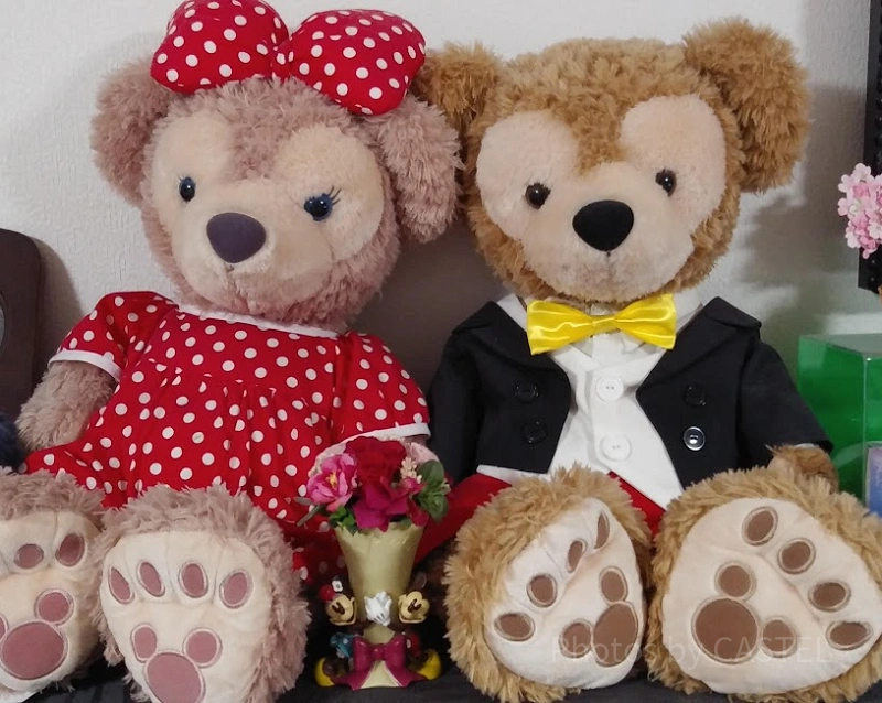 TDS】ダッフィー＆フレンズのぬいぐるみ20選！S・M・Lサイズまとめ