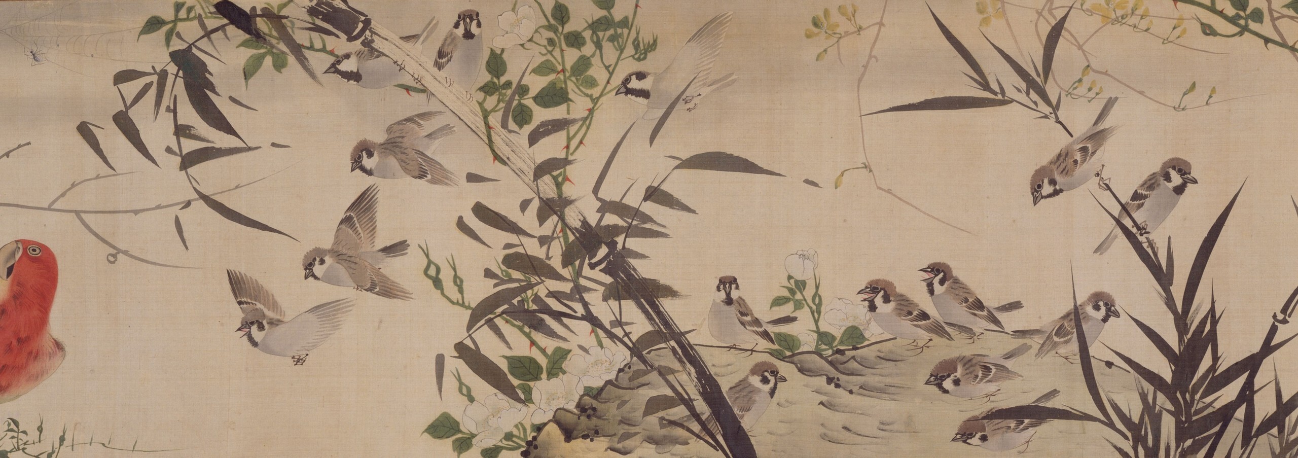 花鳥蟲獣図巻 | 所蔵作品 | 千葉市美術館