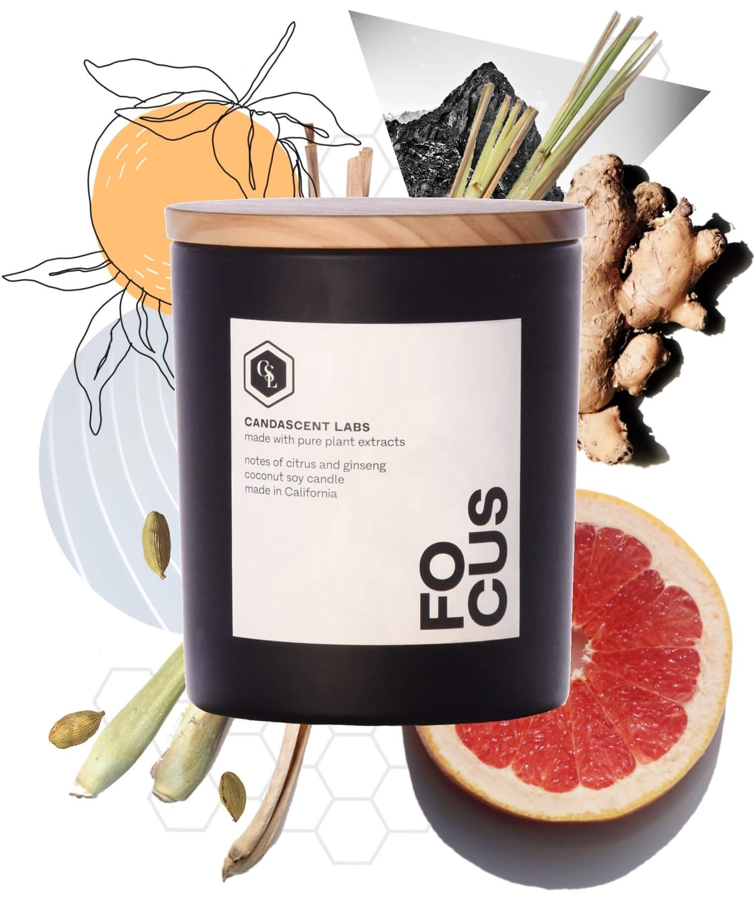 FOCUS - Citrus and Ginseng Candle | CandaScent Labs